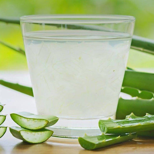 RUTINA MATUTINA con Aloe Vera🌱