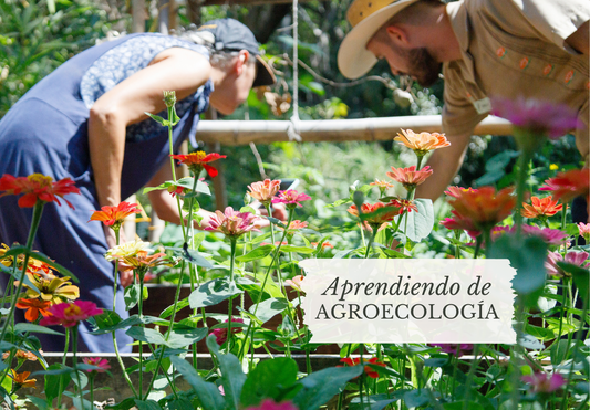 Vivero “Los Casahuates”: Aprendiendo de agroecología