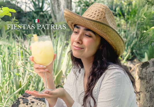 BEBIDAS MEXICANAS 🇲🇽