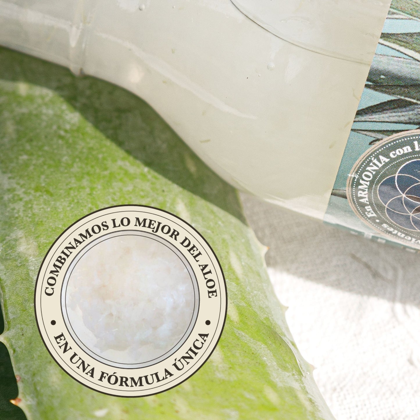 ALOE FUSIÓN: PULPA Y CONCENTRADO DE ALOE VERA