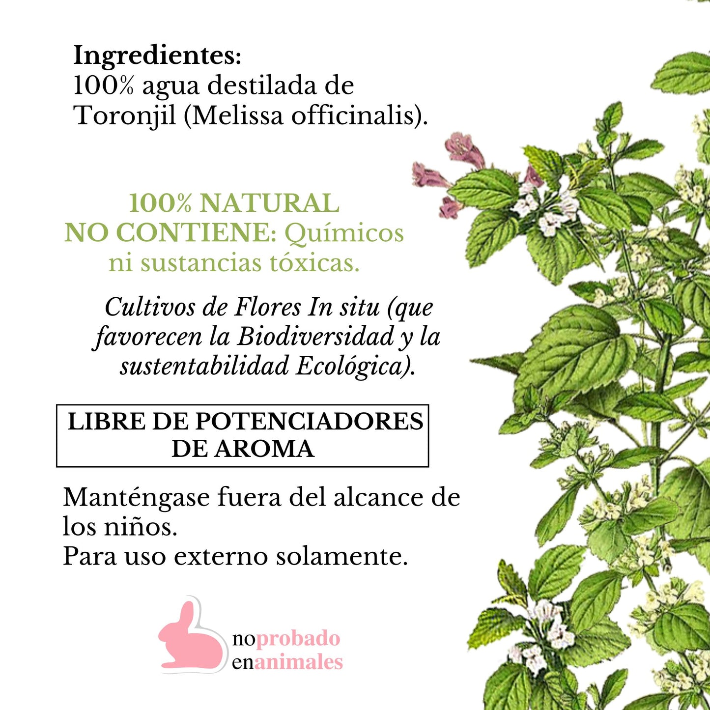 MINI HIDROLATO DE TORONJIL (100ml)