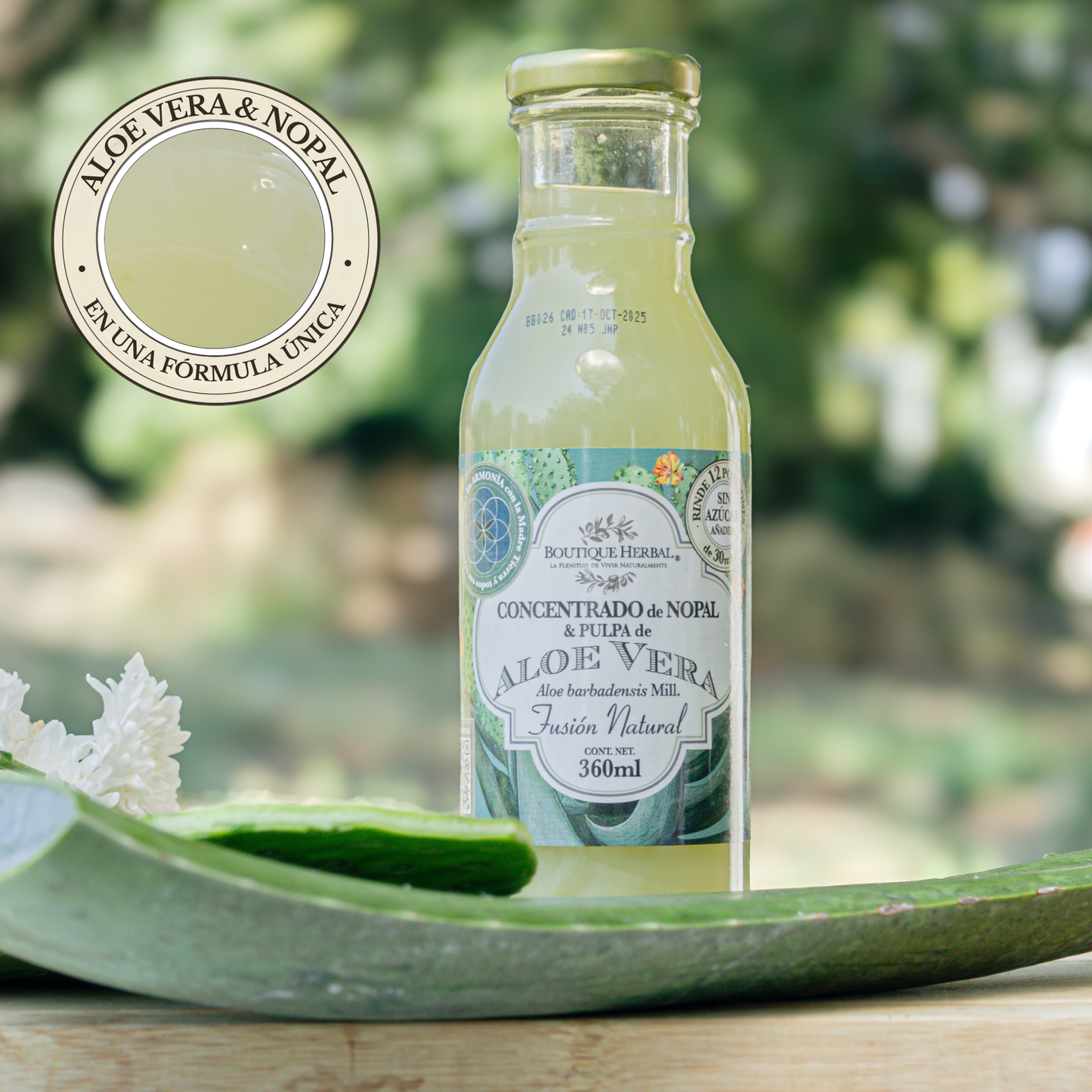FUSIÓN: PULPA DE ALOE Y CONCENTRADO DE NOPAL