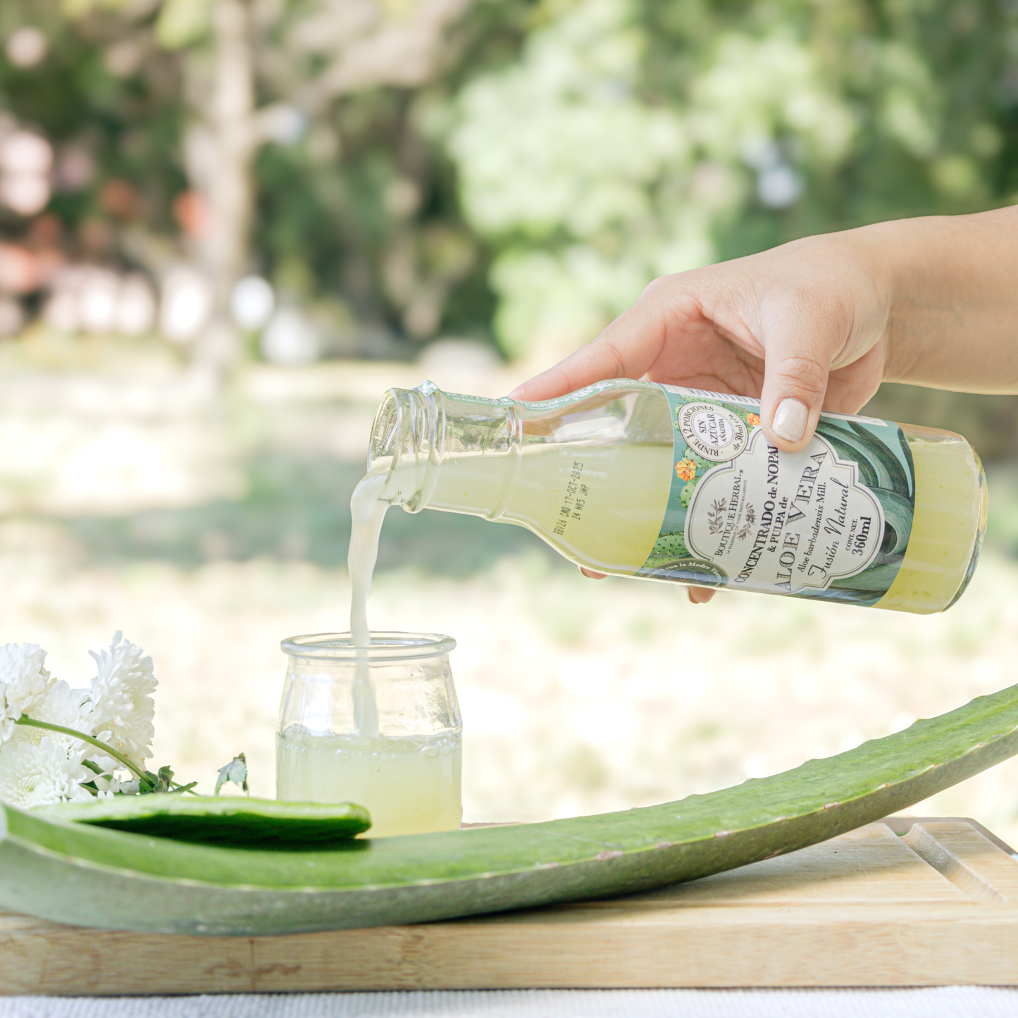 FUSIÓN: PULPA DE ALOE Y CONCENTRADO DE NOPAL