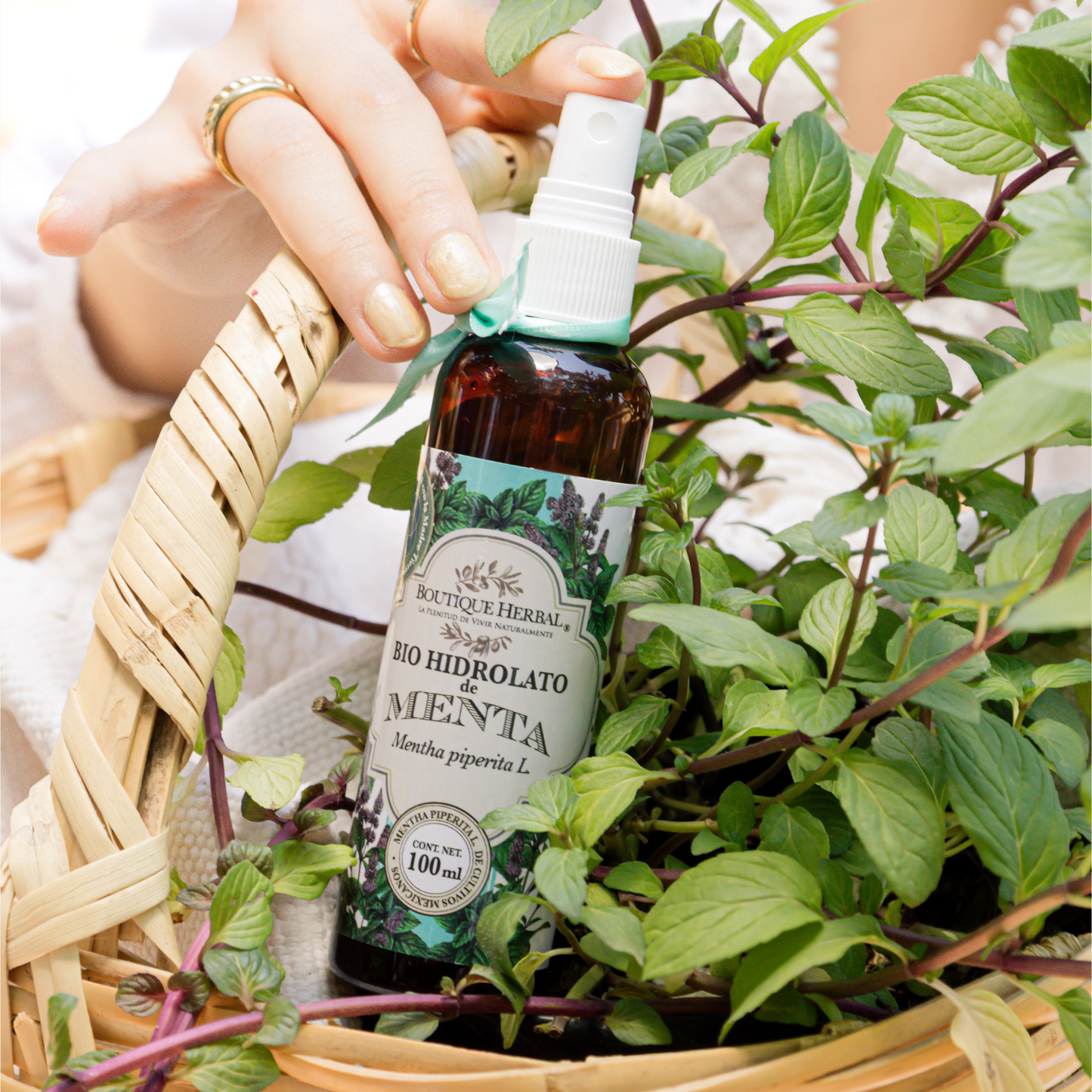 MINI HIDROLATO DE MENTA (100ml)