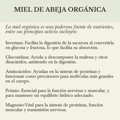 x. MIEL DE MEZQUITE ORGÁNICA
