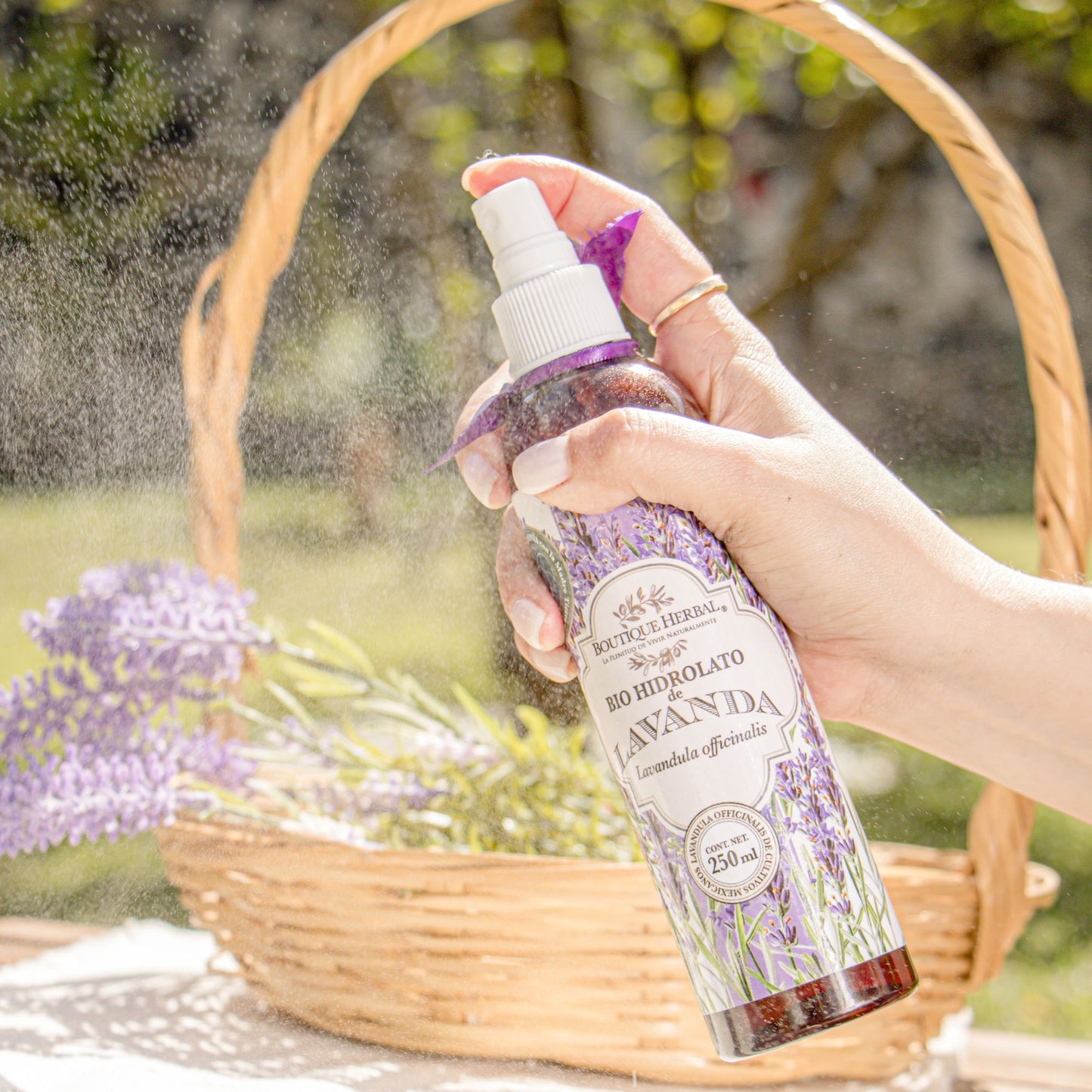 BIO HIDROLATO DE LAVANDA
