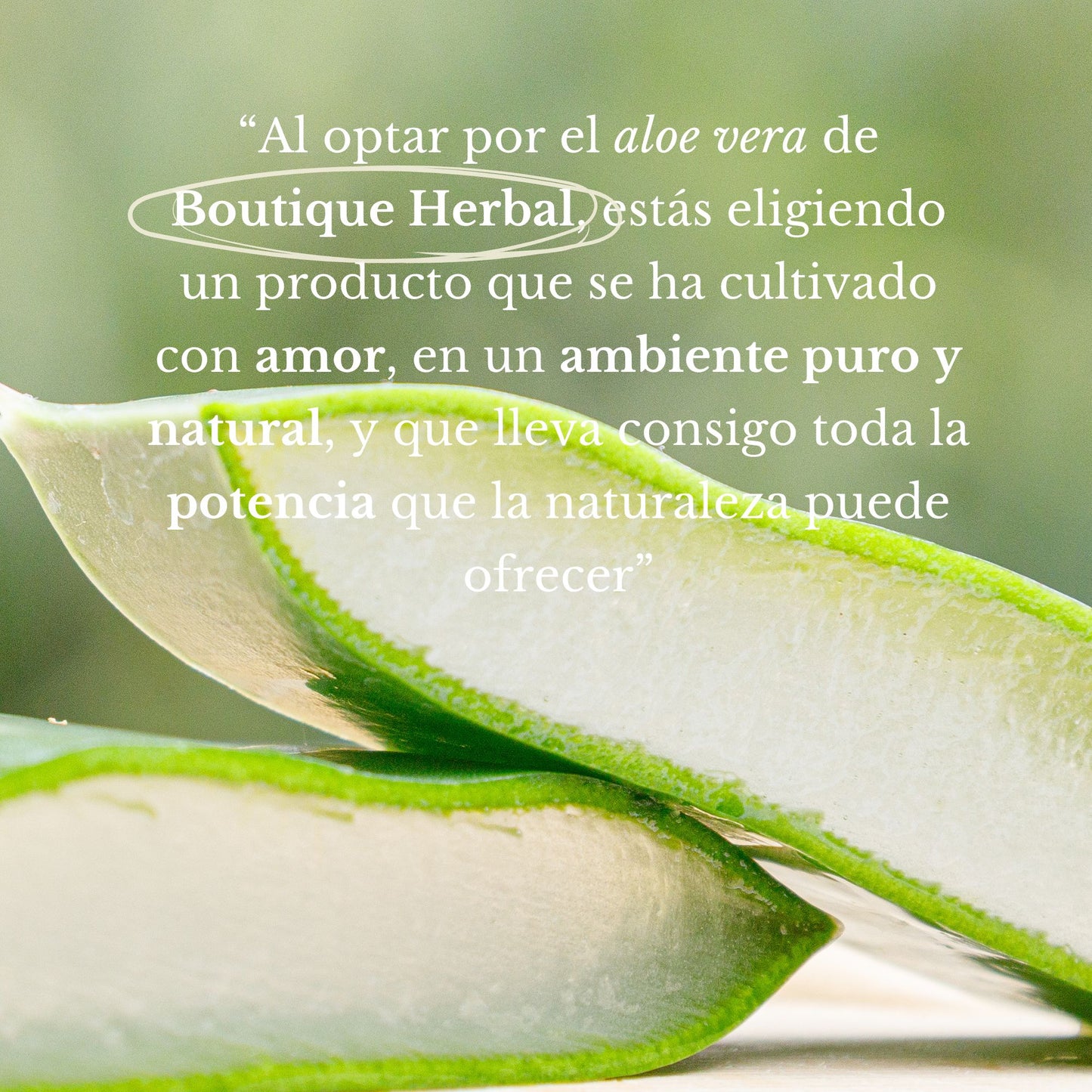 HIDROSUERO DE ALOE VERA ROSTRO Y CUELLO