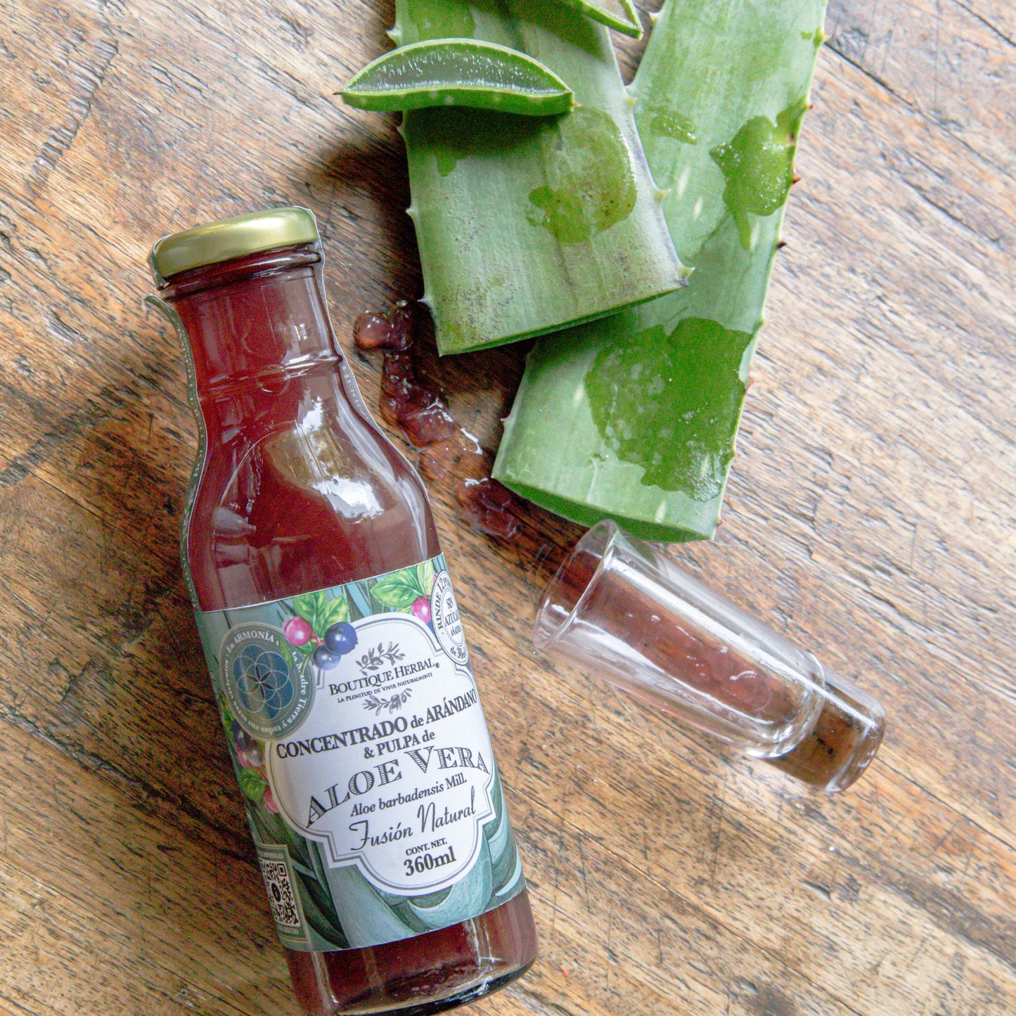 FUSIÓN: PULPA DE ALOE Y CONCENTRADO DE ARÁNDANO