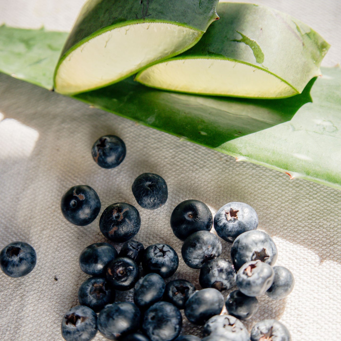 FUSIÓN: PULPA DE ALOE Y CONCENTRADO DE ARÁNDANO