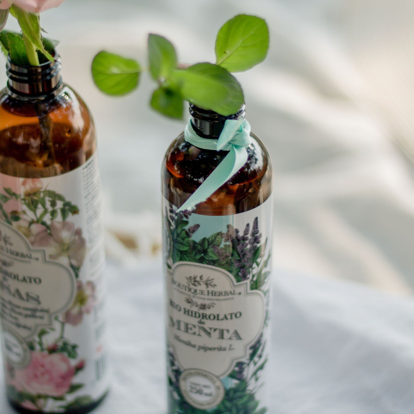 BIO HIDROLATO DE MENTA