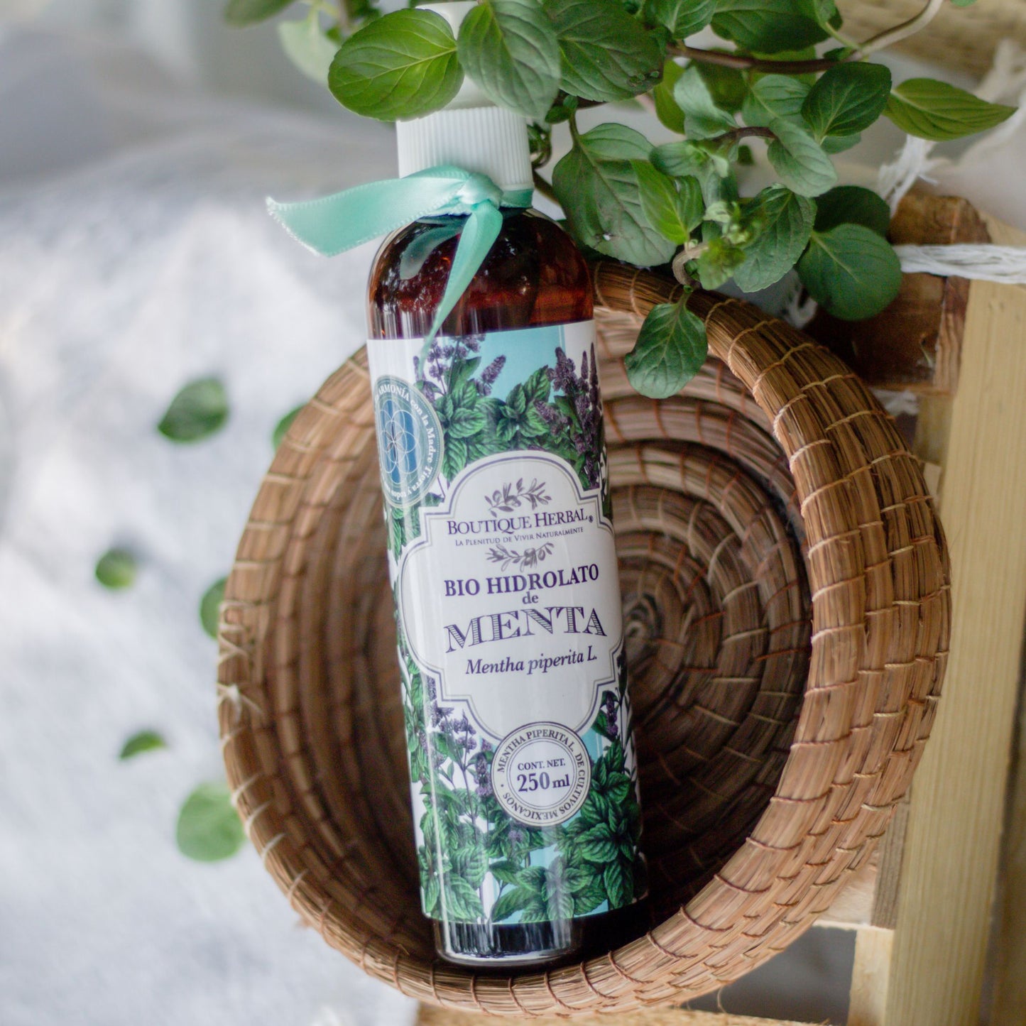BIO HIDROLATO DE MENTA