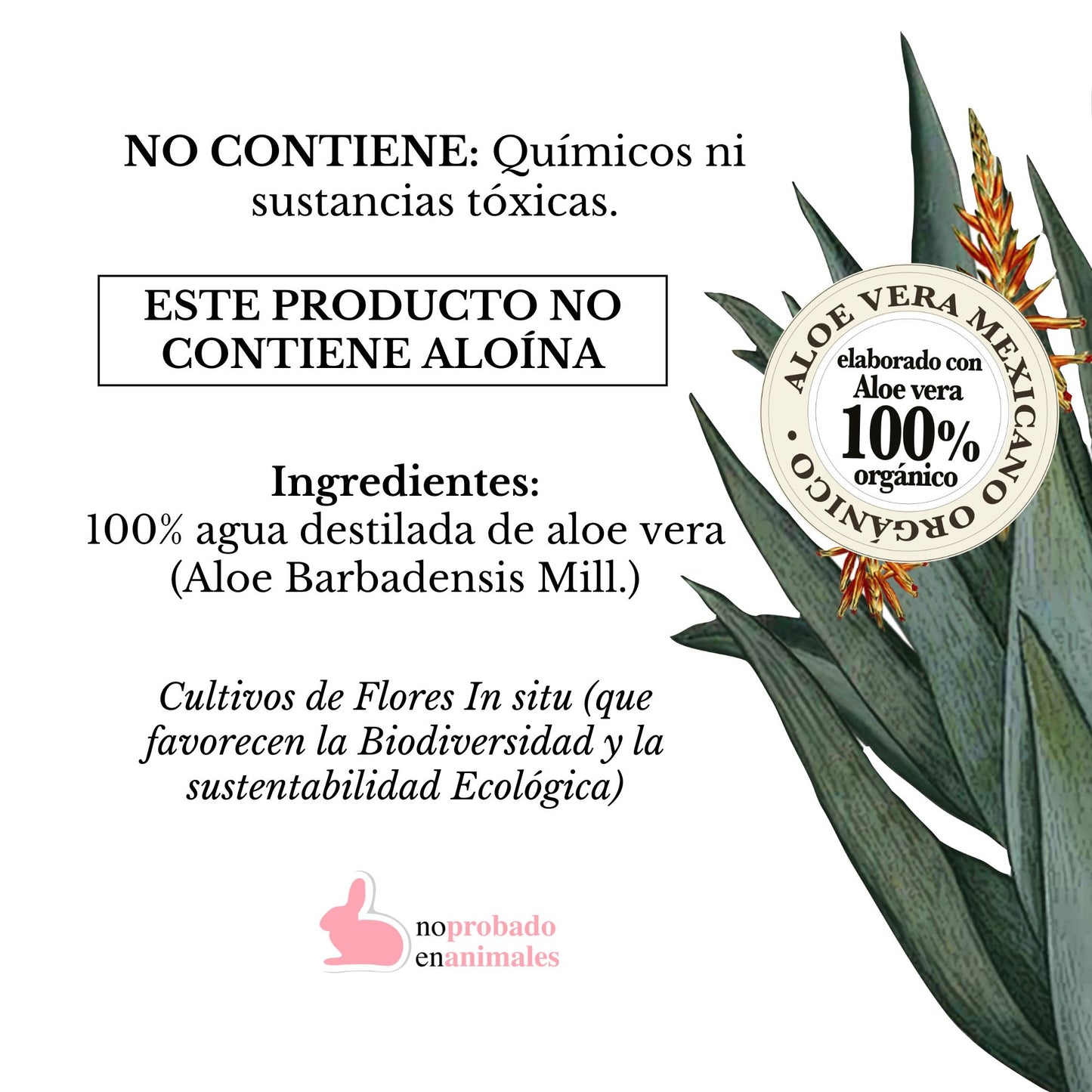 MINI HIDROLATO DE ALOE VERA (100ml)