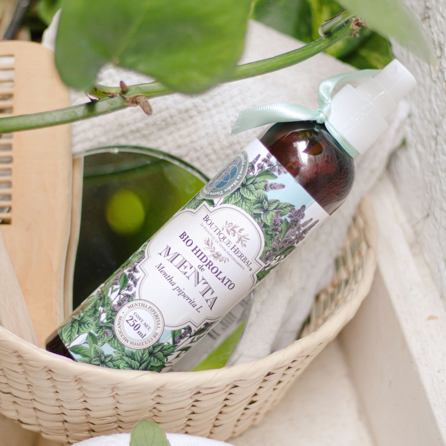 BIO HIDROLATO DE MENTA