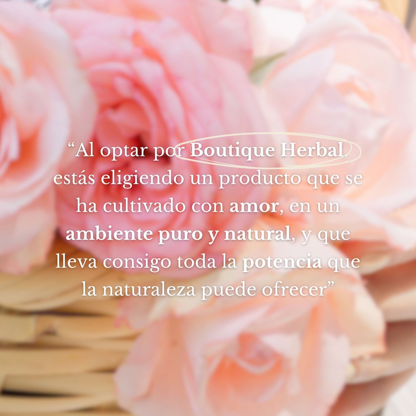 MINI HIDROLATO DE ROSAS (100ml)