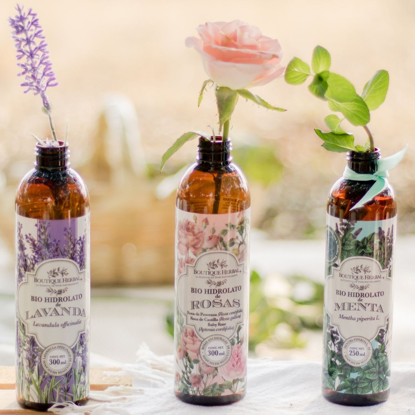 BIO HIDROLATO DE LAVANDA