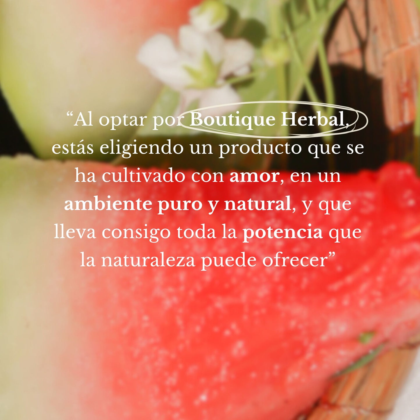 PROTECTOR SOLAR DE ALOE VERA FPS50