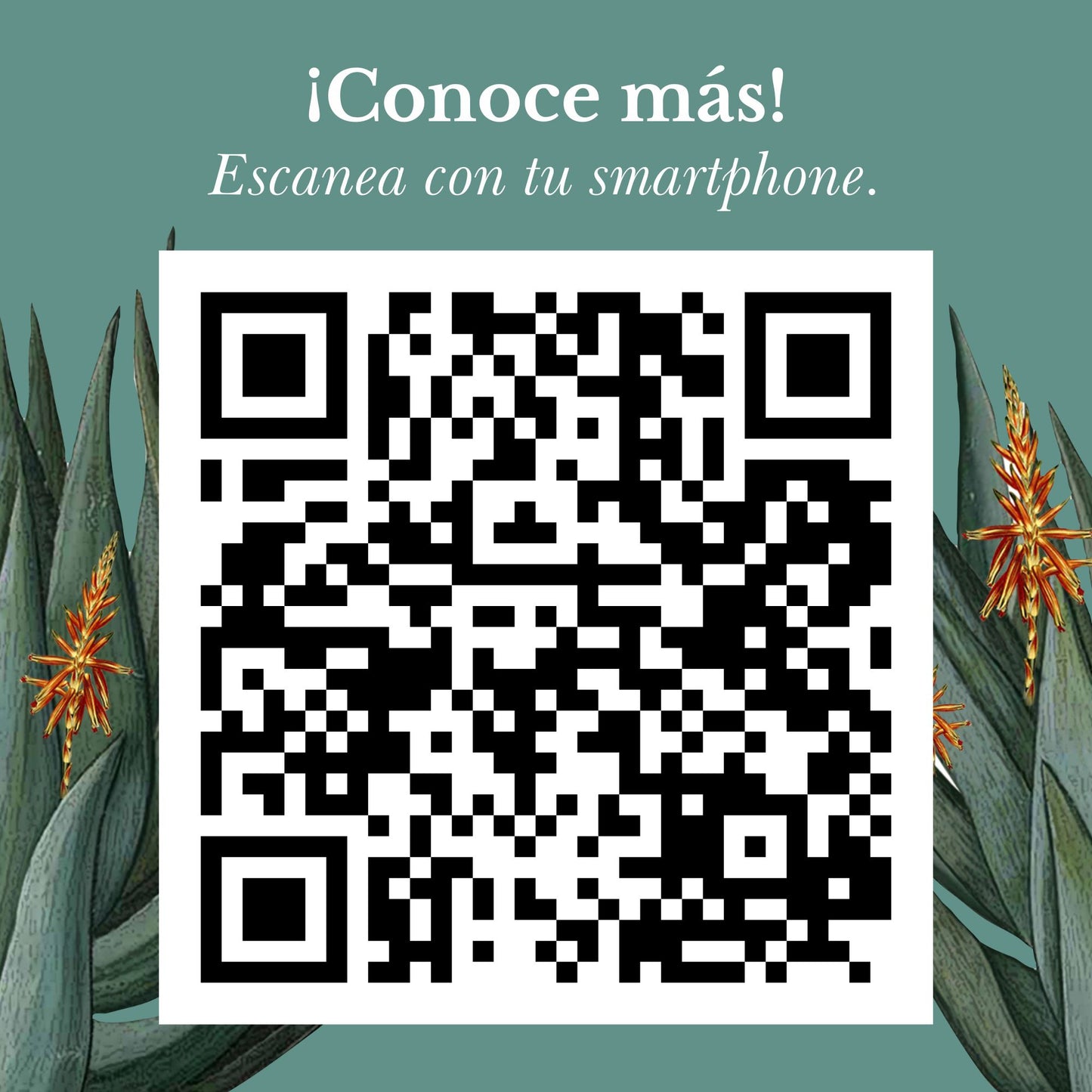 KIT 6 PULPAS NATURALES DE ALOE VERA