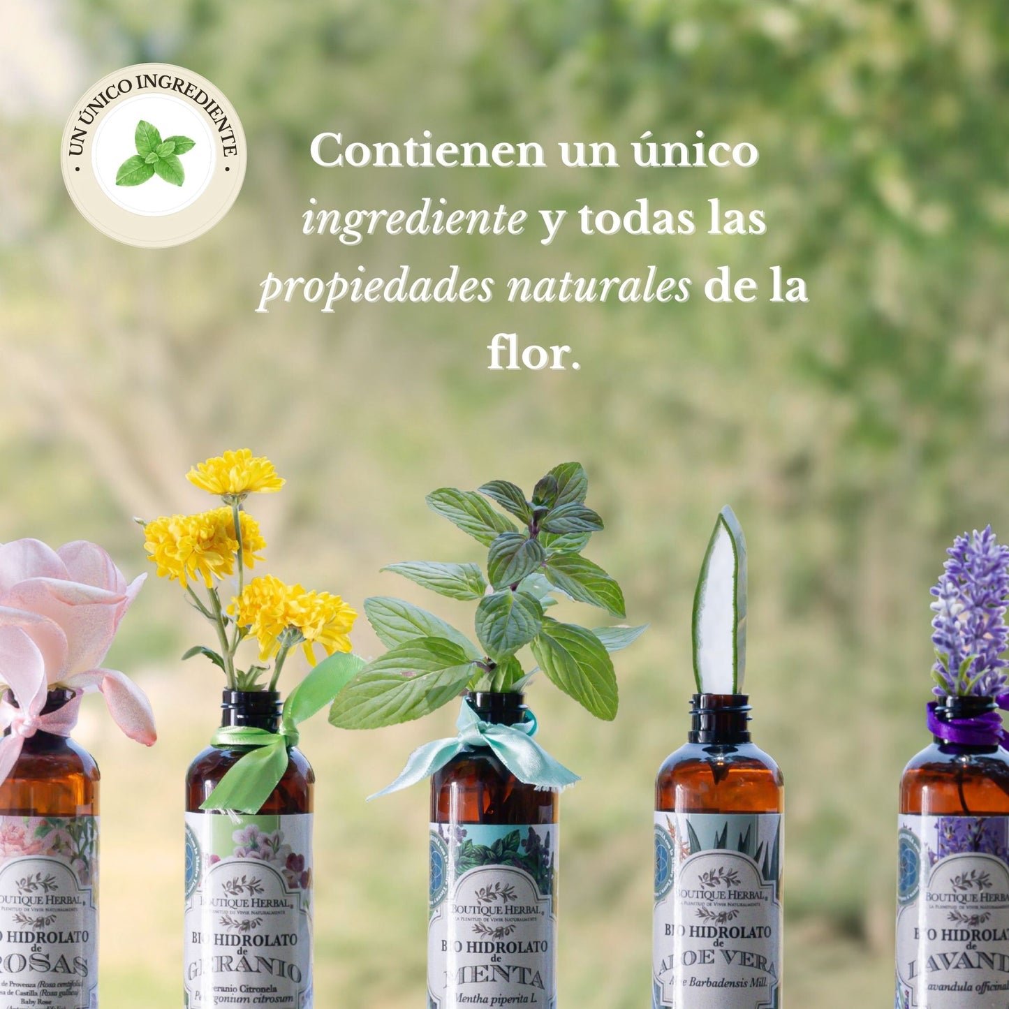 MINI HIDROLATO DE MENTA (100ml)