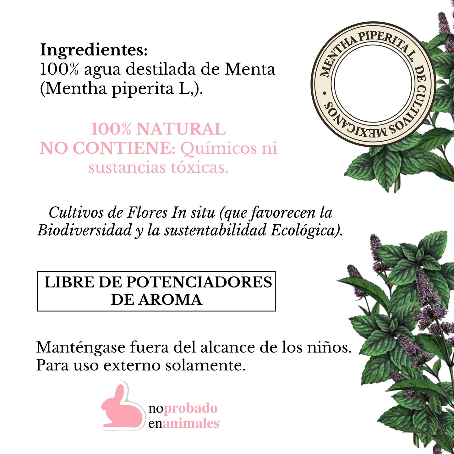 MINI HIDROLATO DE MENTA (100ml)