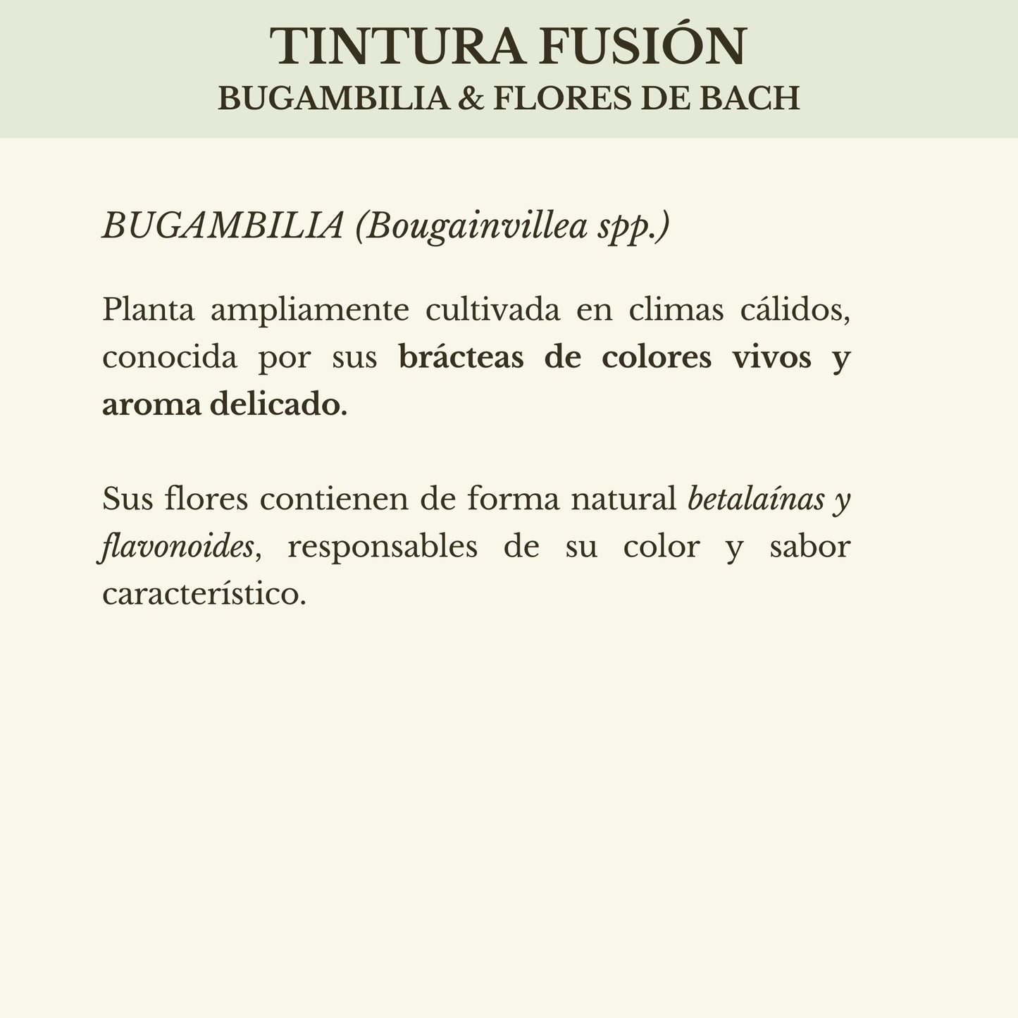 TINTURA FUSIÓN BUGAMBILIA