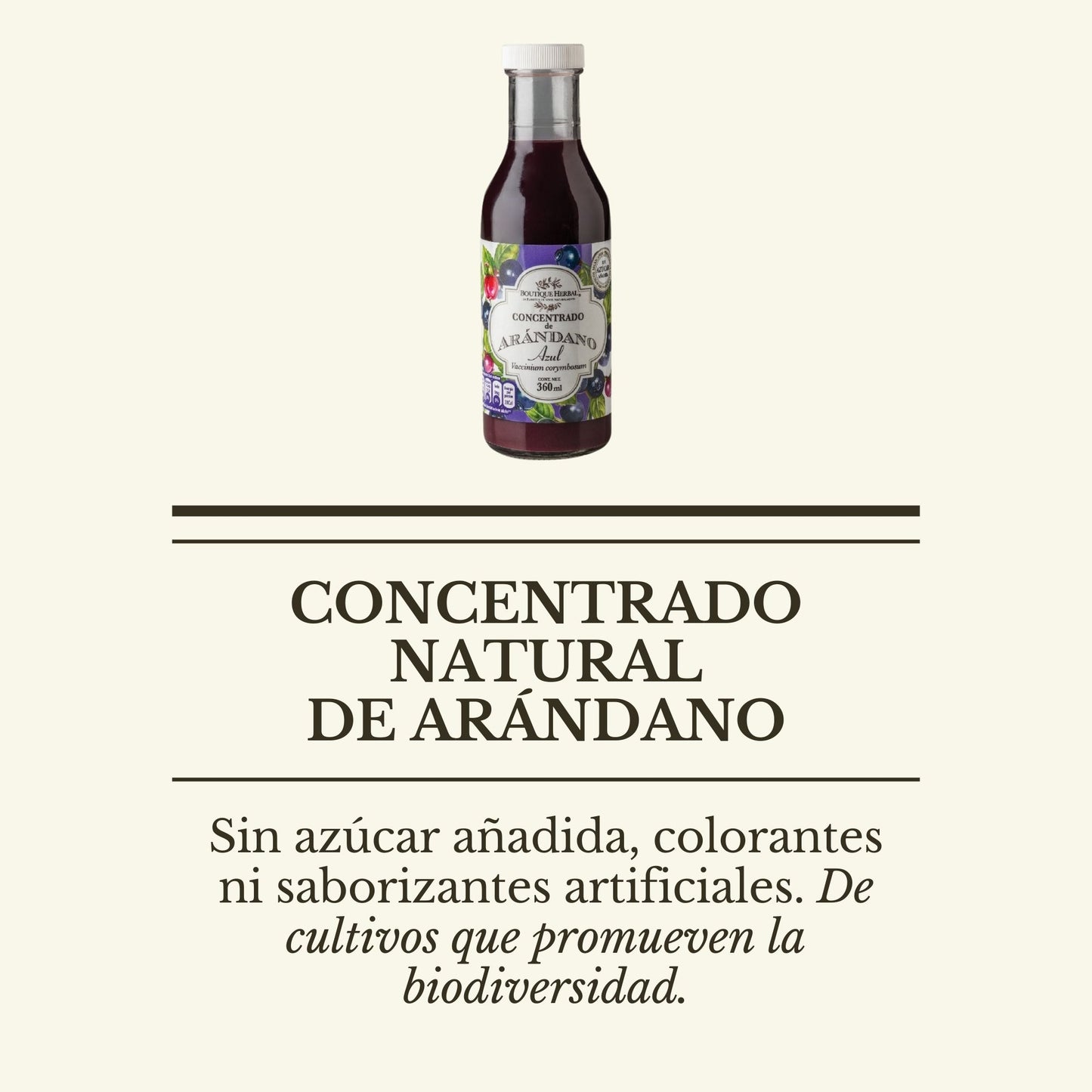 CONCENTRADO NATURAL DE ARÁNDANO