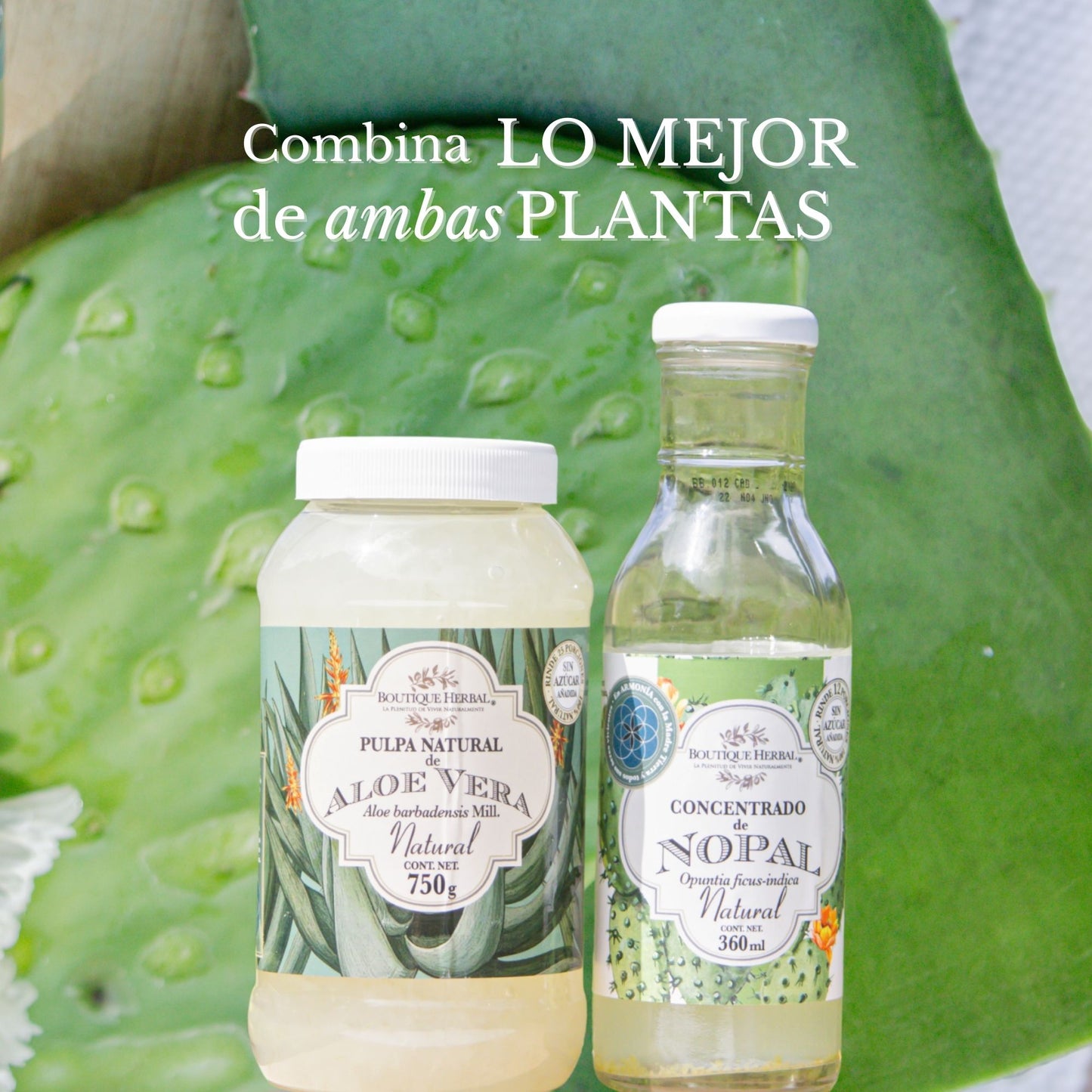 KIT BIENESTAR MEXICANO