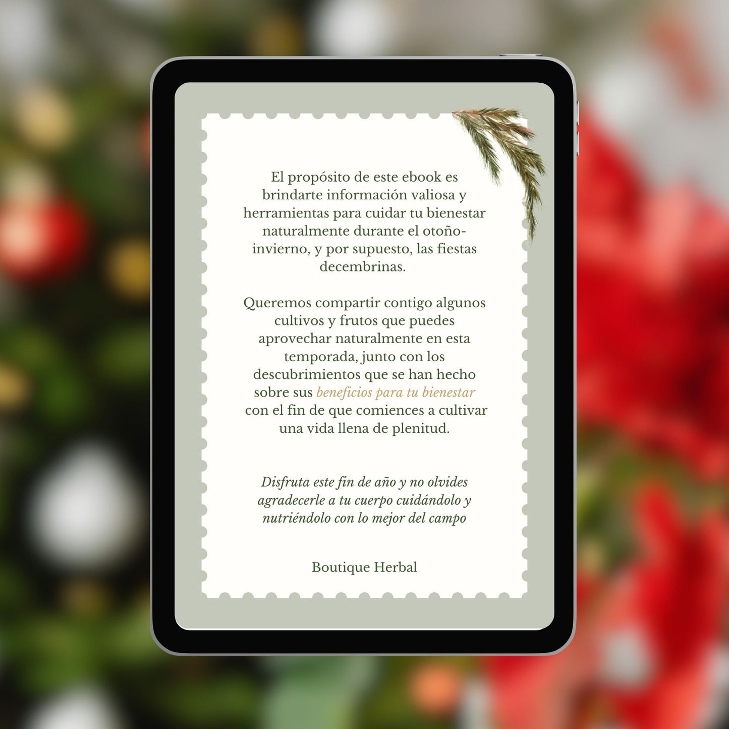 ¡EBOOK NAVIDEÑO GRATIS!