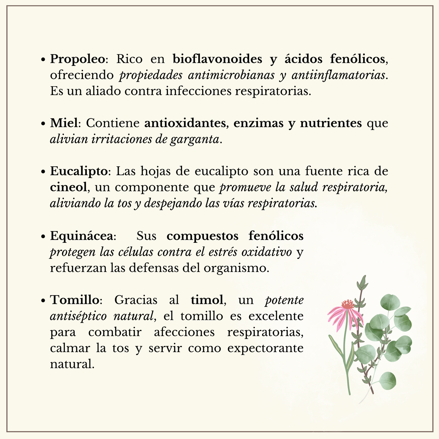 JARABE MIEL & PROPÓLEO