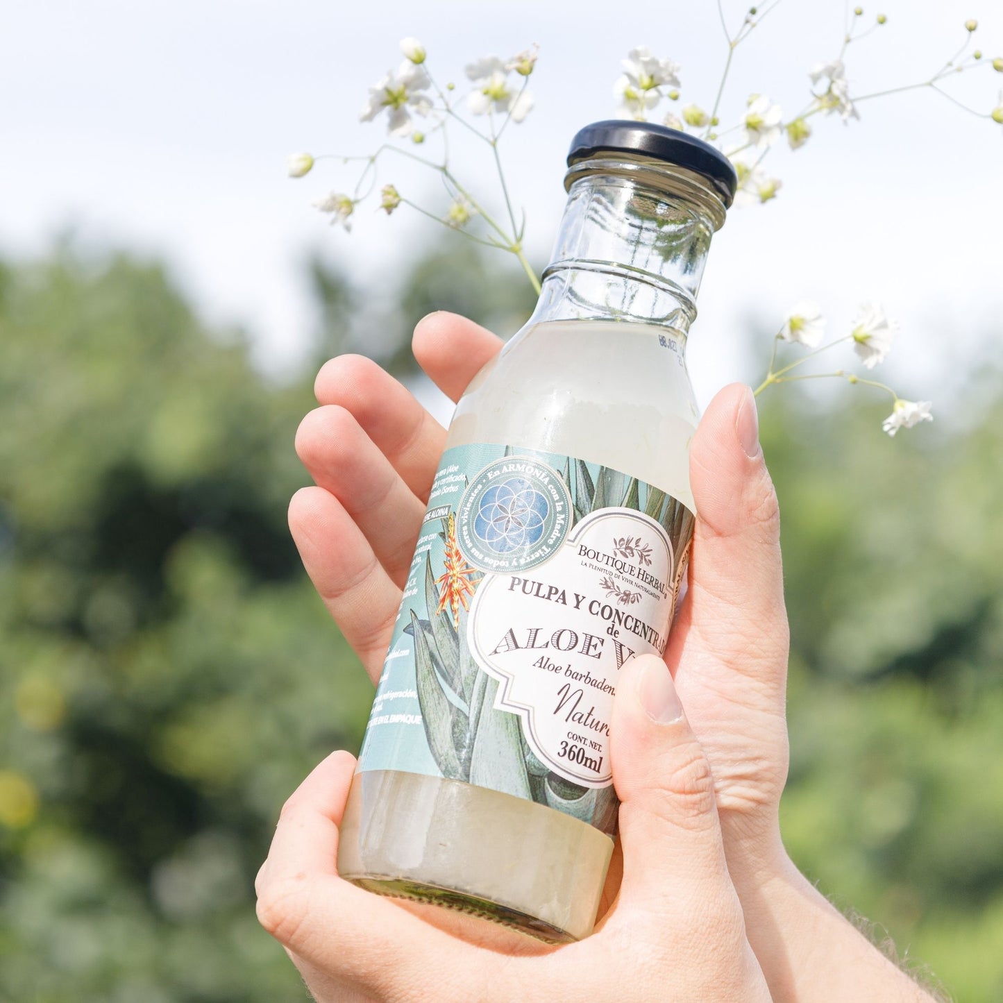 ALOE FUSIÓN: PULPA Y CONCENTRADO DE ALOE VERA