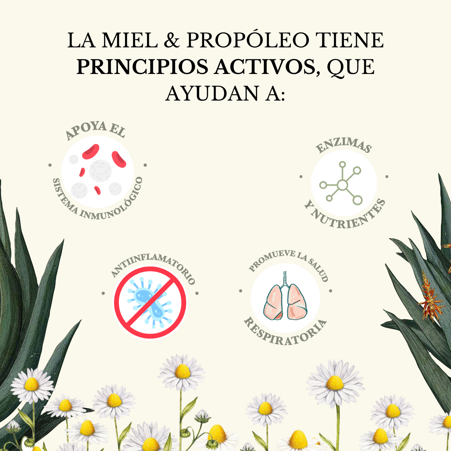 JARABE MIEL & PROPÓLEO