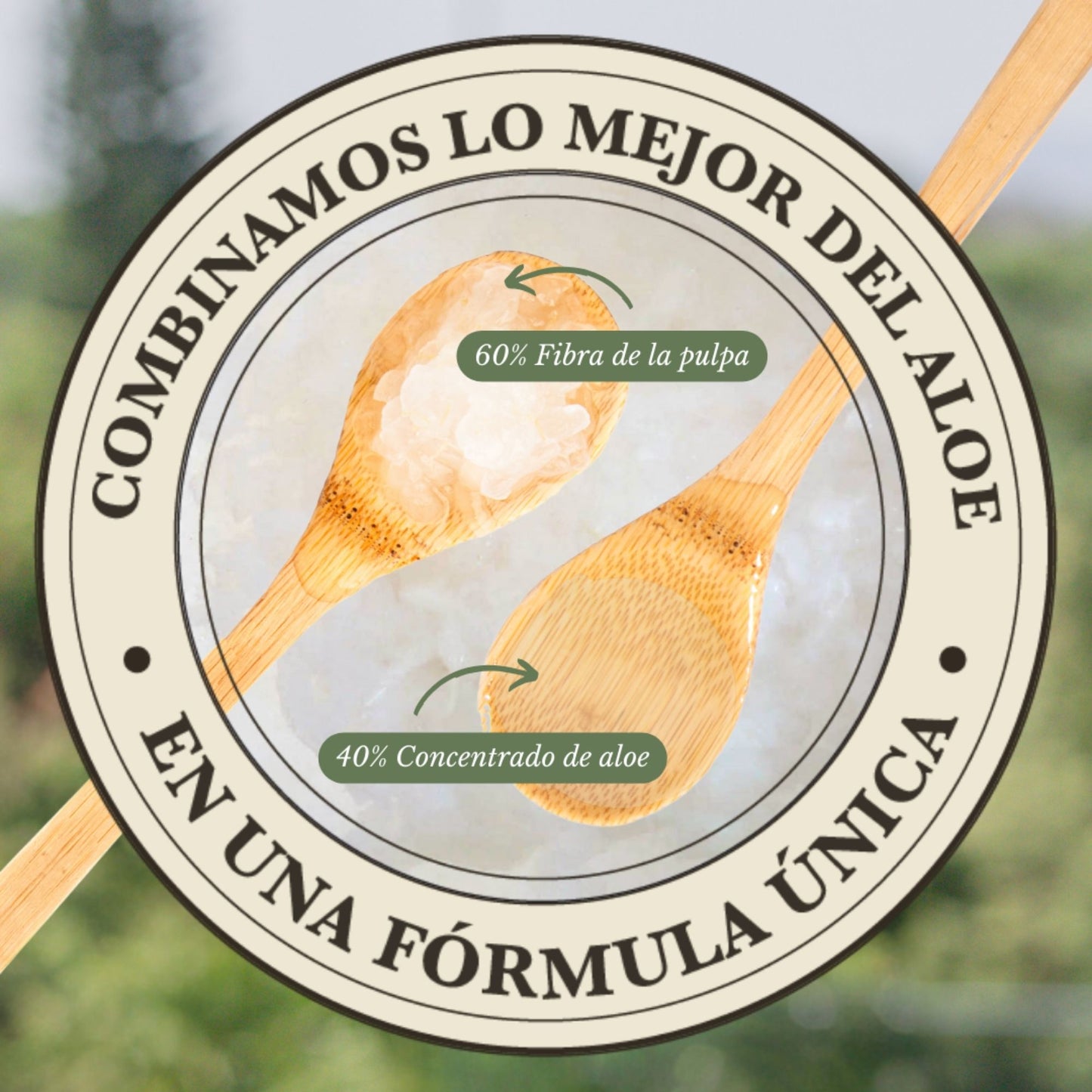 ALOE FUSIÓN: PULPA Y CONCENTRADO DE ALOE VERA