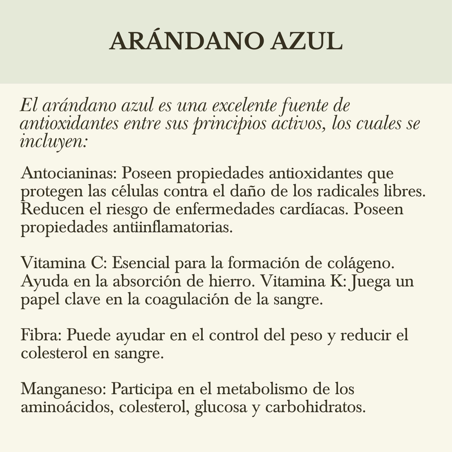 c. CONCENTRADO DE ARÁNDANO