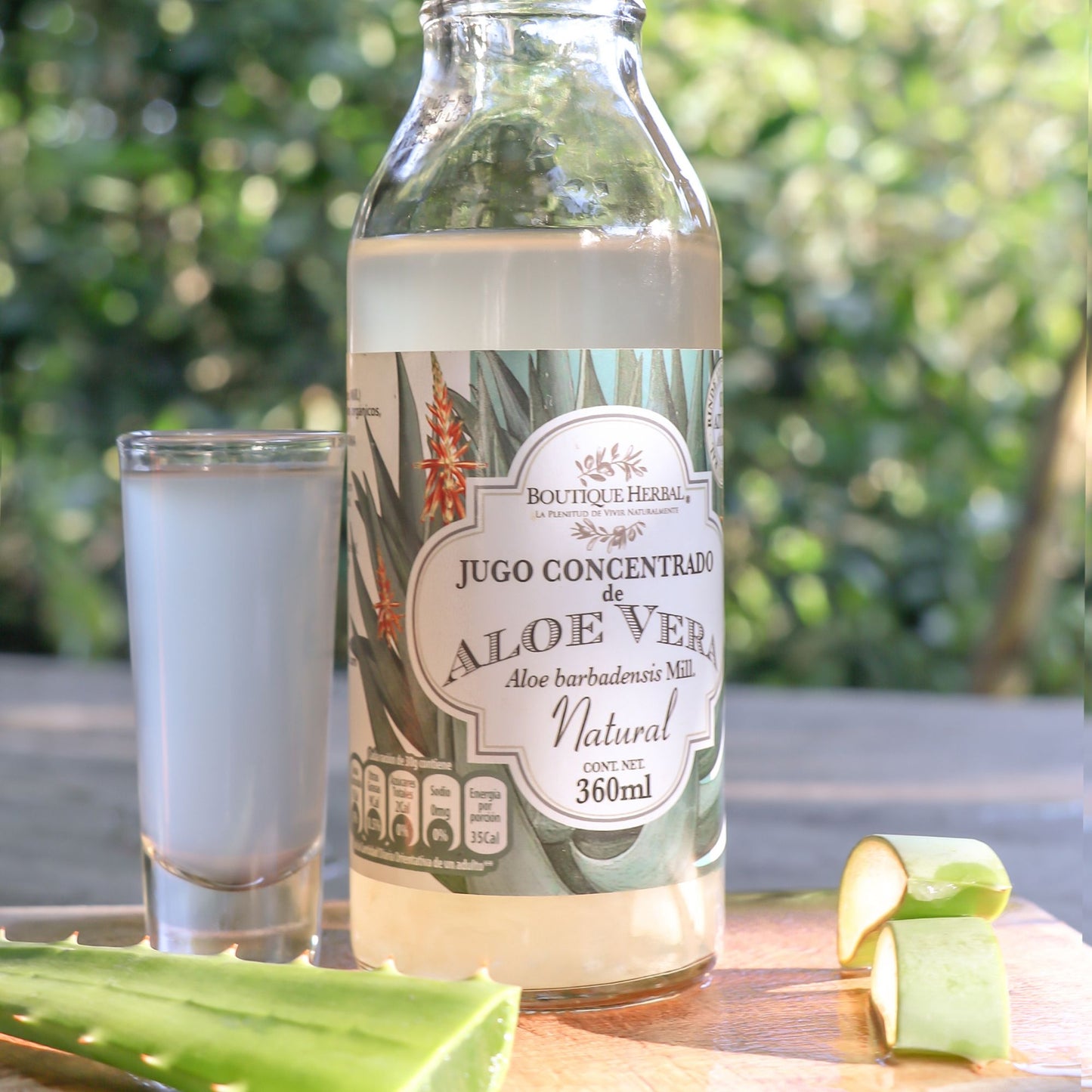 CONCENTRADO DE ALOE VERA NATURAL DE CULTIVOS MEXICANOS
