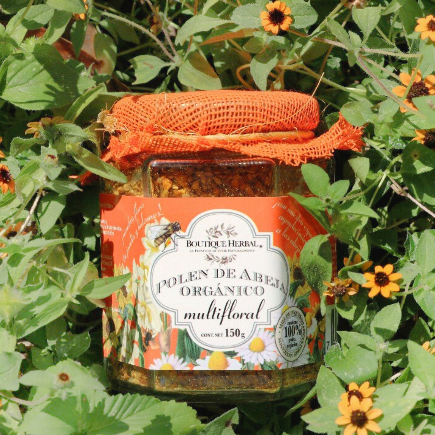 POLEN ORGÁNICO MULTIFLORA