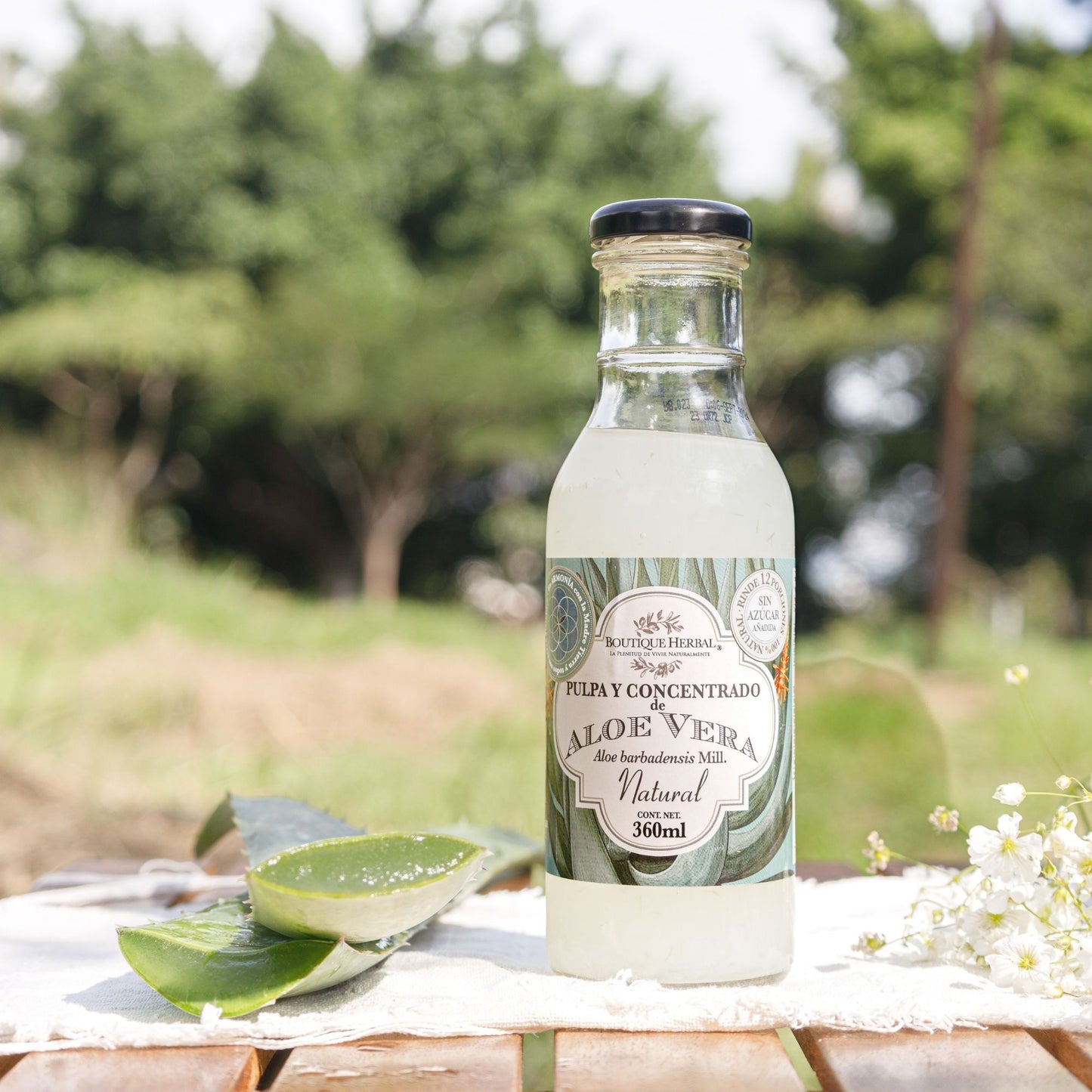 ALOE FUSIÓN: PULPA Y CONCENTRADO DE ALOE VERA