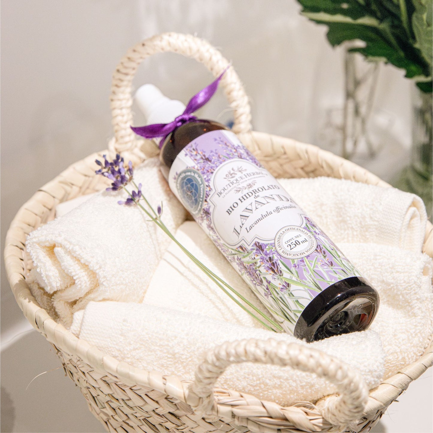 BIO HIDROLATO DE LAVANDA