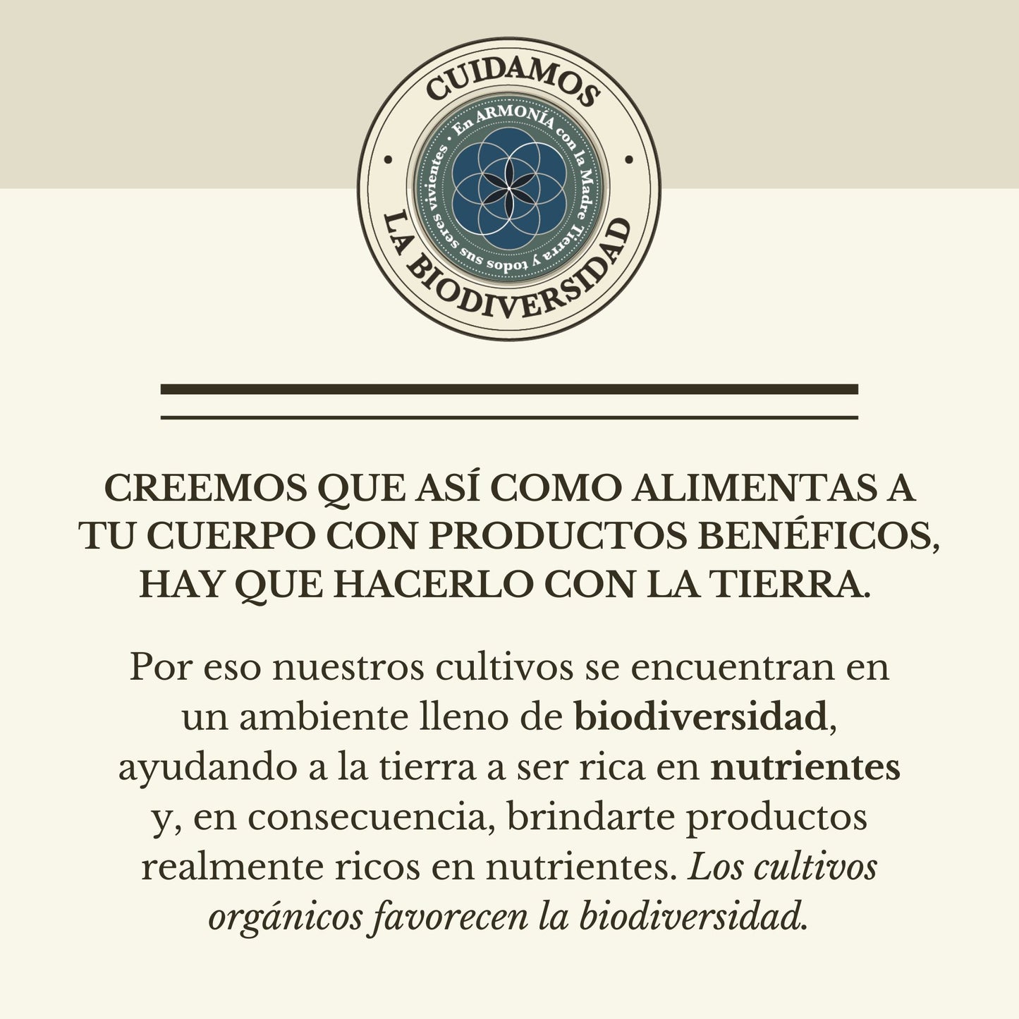 KIT BIENESTAR MEXICANO