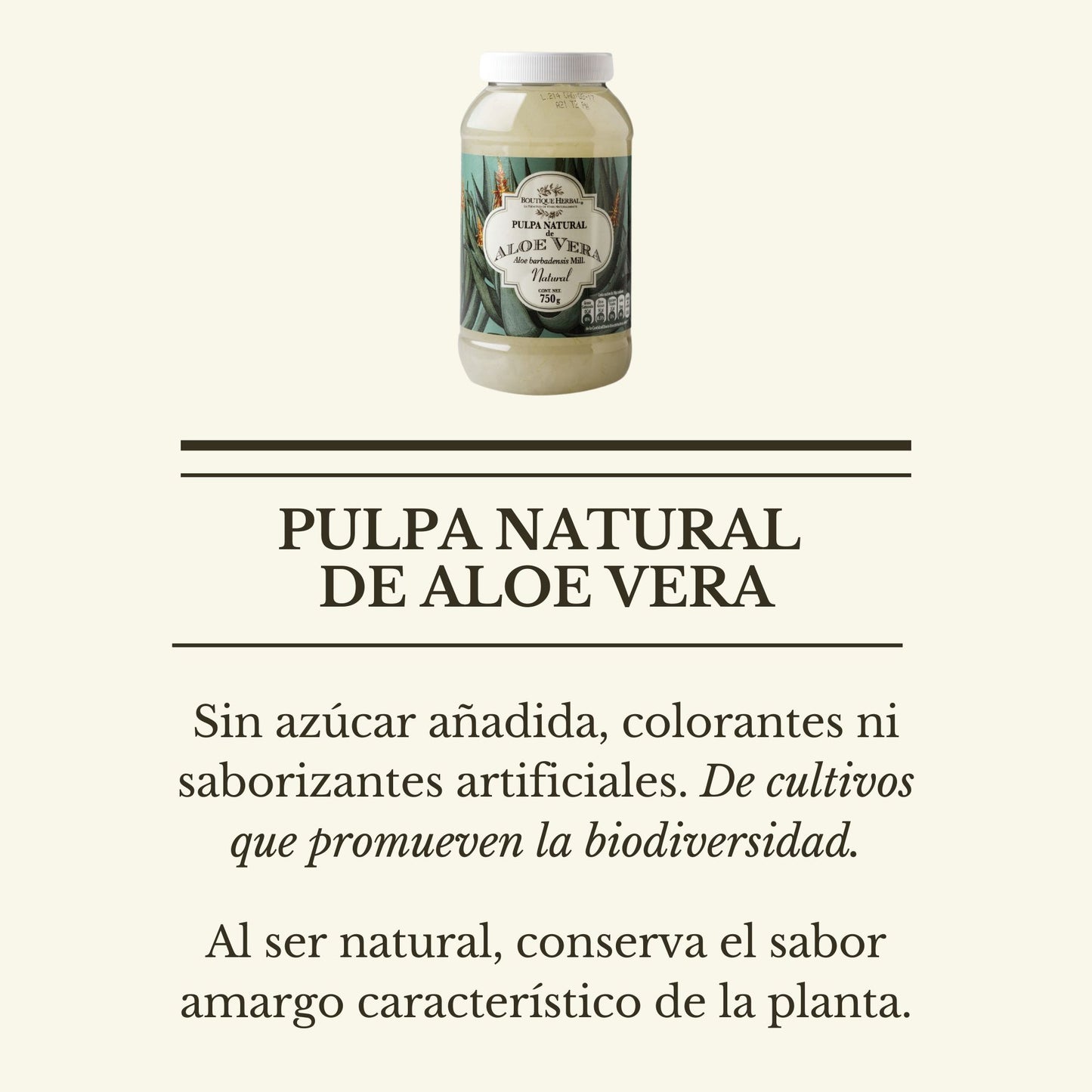 KIT BIENESTAR MEXICANO