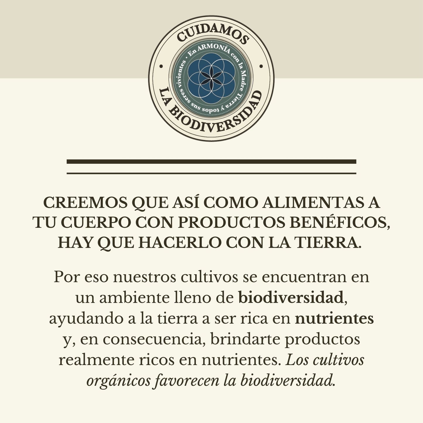 MINI HIDROLATO DE MENTA (100ml)