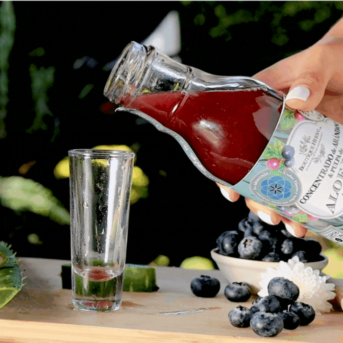 FUSIÓN: PULPA DE ALOE Y CONCENTRADO DE ARÁNDANO