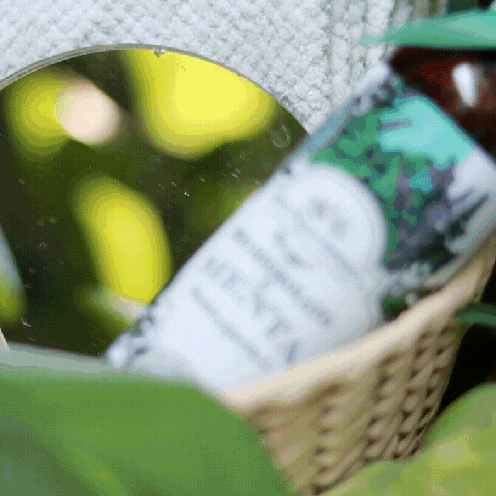 BIO HIDROLATO DE MENTA