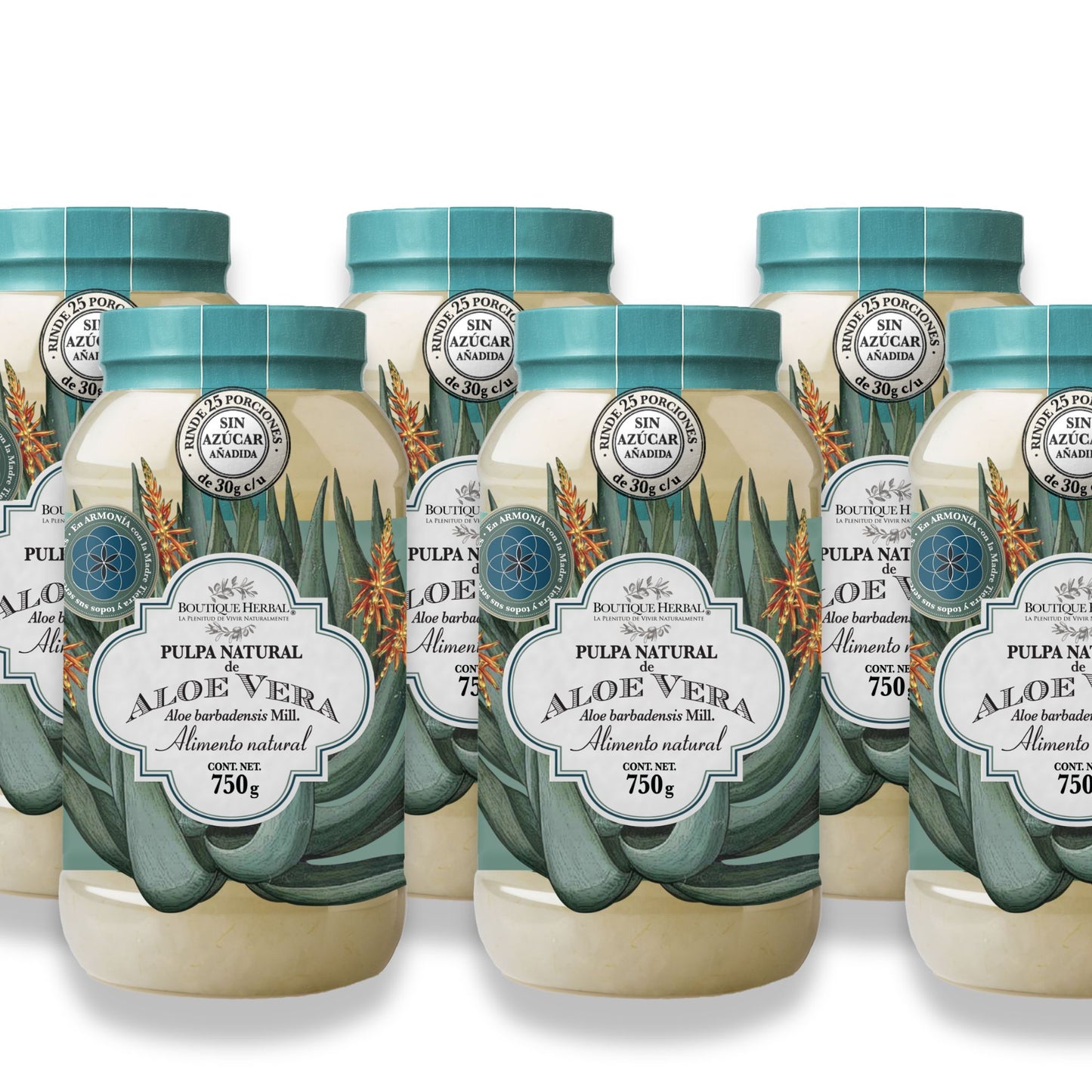 KIT 6 PULPAS NATURALES DE ALOE VERA