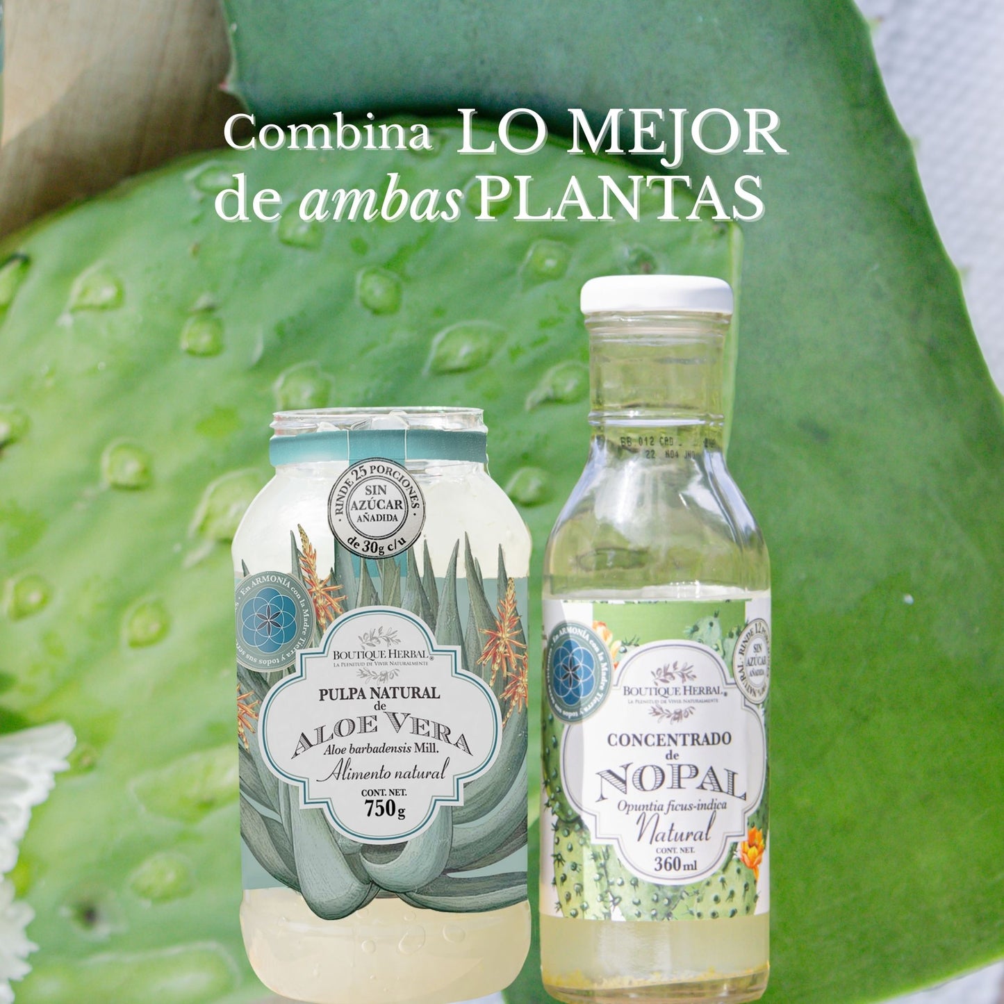 KIT BIENESTAR MEXICANO