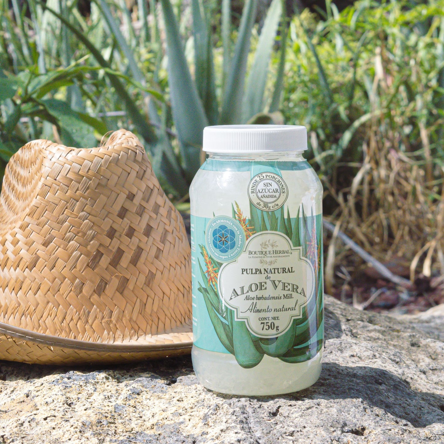 PULPA NATURAL DE ALOE VERA