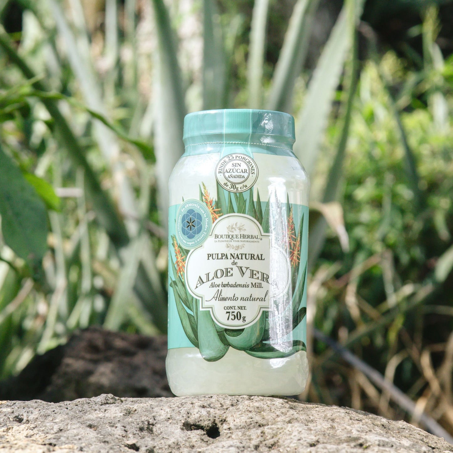 PULPA NATURAL DE ALOE VERA