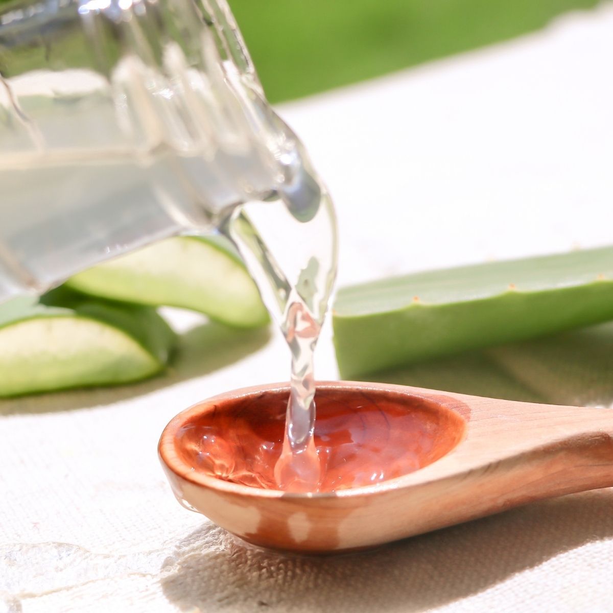 b. CONCENTRADO DE ALOE VERA ORGÁNICO