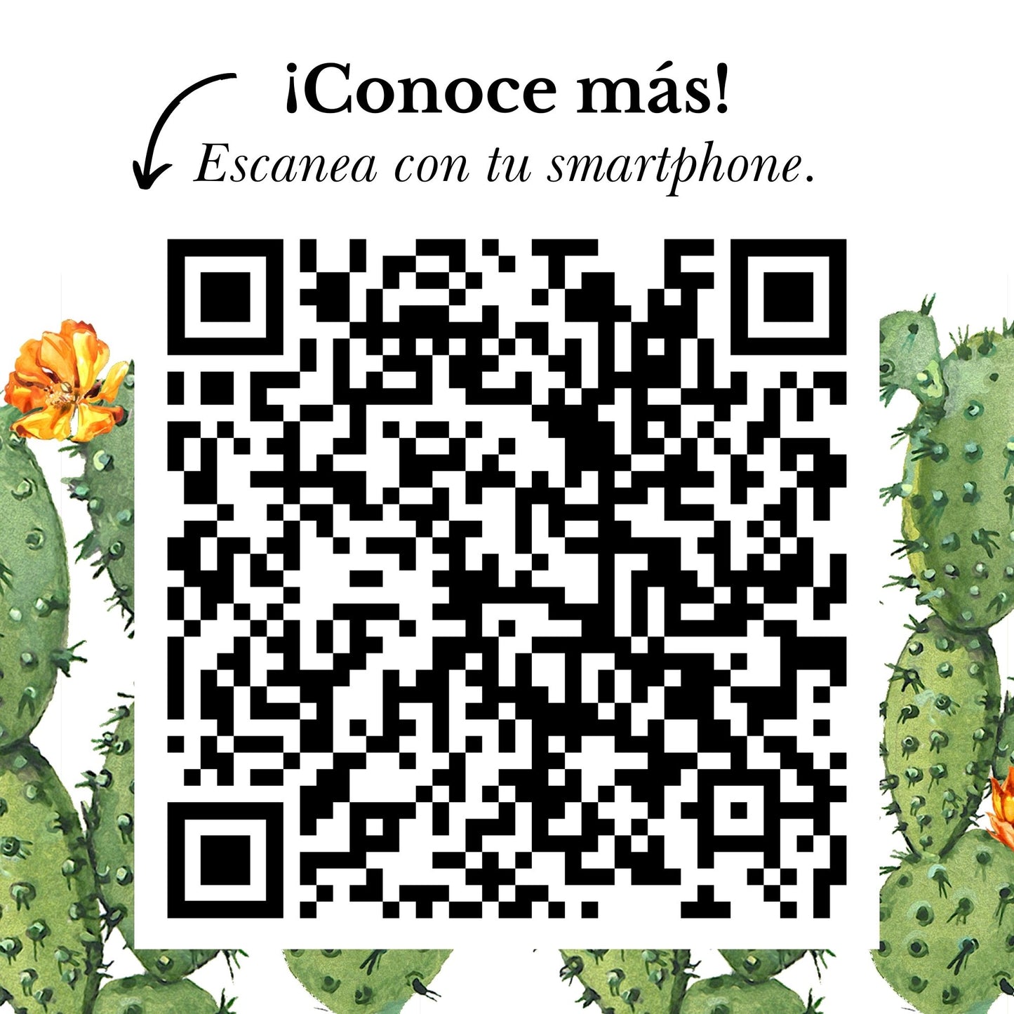 d. CONCENTRADO DE NOPAL