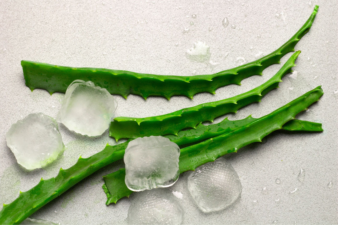 Hielos de Aloe Vera para rostro