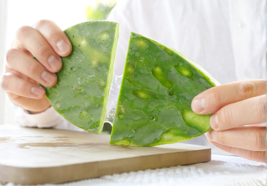Recetas mexicanas con Nopal crudo