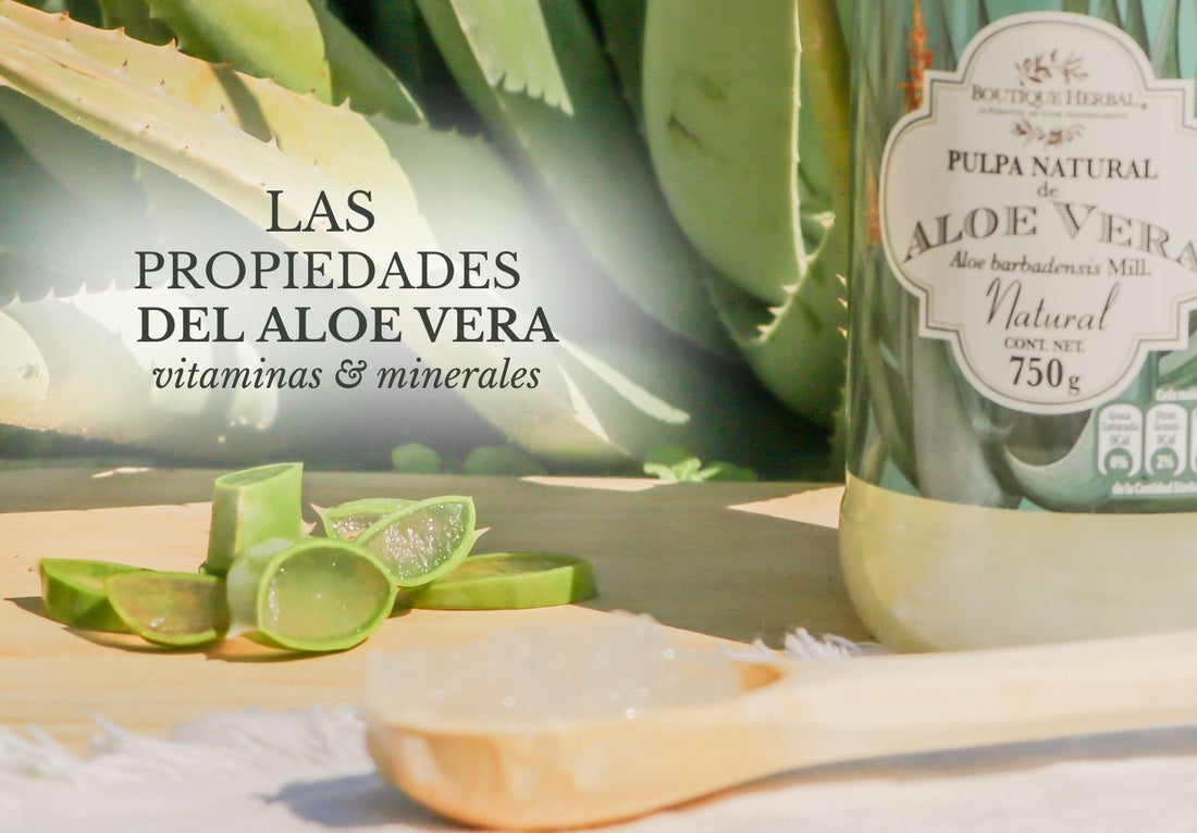 PRINCIPIOS ACTIVOS DEL ALOE VERA